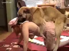 Busty slutwife makes out with a brown dog